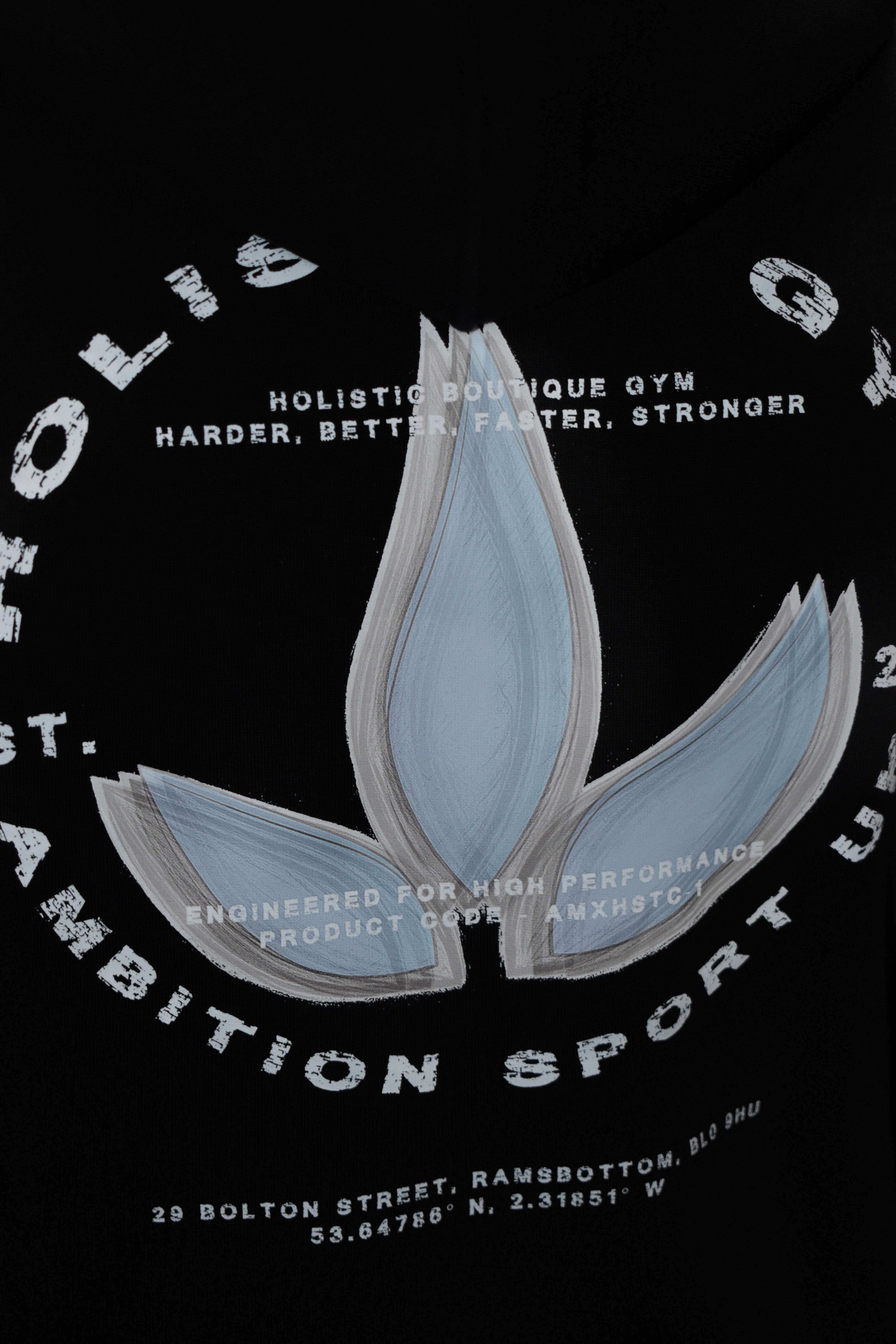 Ambition x Holistic Gym Hoodie (Store Exclusive)