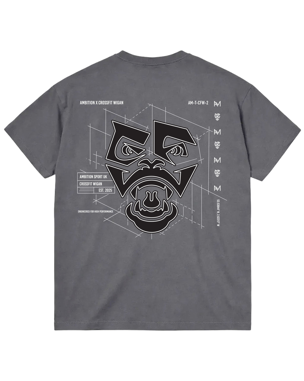 Ambition x CFW T-Shirt - Stone